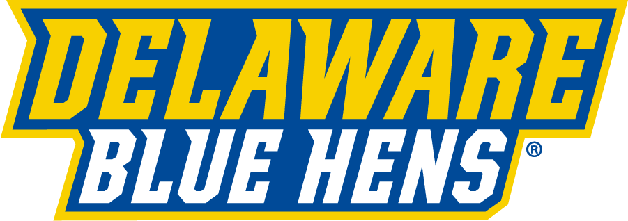 Delaware Blue Hens 2018-Pres Wordmark Logo DIY iron on transfer (heat transfer)